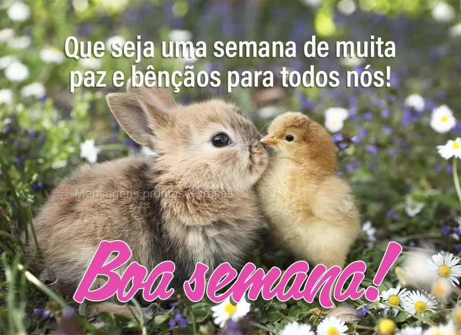 Que seja uma semana de muita paz e bênçãos para todos nós! Boa semana!