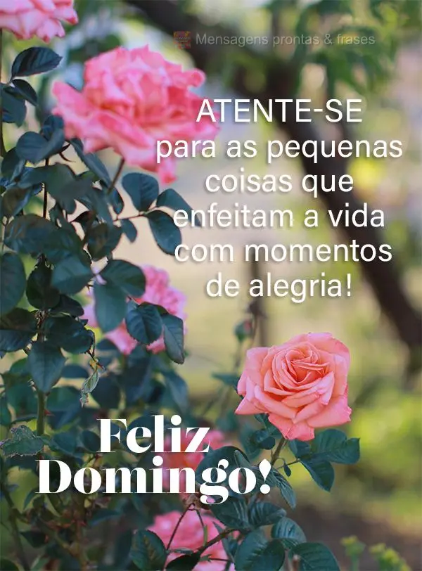 Atente-se para as pequenas coisas que enfeitam a vida com momentos de alegria! Feliz Domingo!