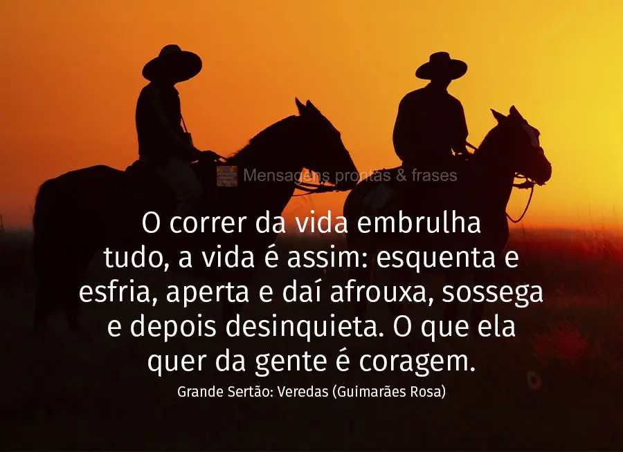 O correr da vida embrulha tudo, a vida é assim: esquenta e esfria, aperta e daí afrouxa, sossega e depois desinquieta. O que ela quer da gente é corag...