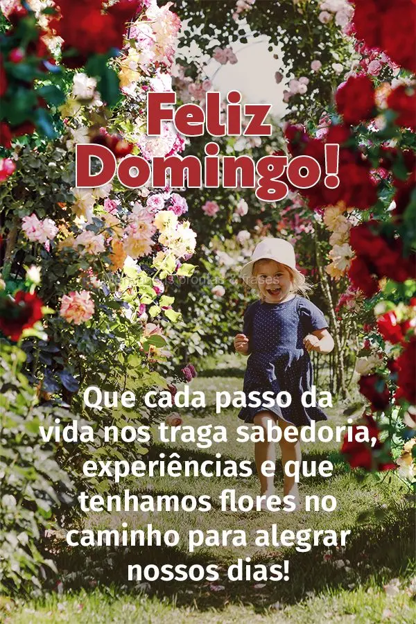 Que cada passo da vida nos traga sabedoria, experiências e que tenhamos flores no caminho para alegrar nossos dias! Feliz Domingo! 