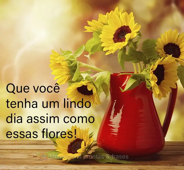 Que você tenha um lindo dia assim como essas flores!