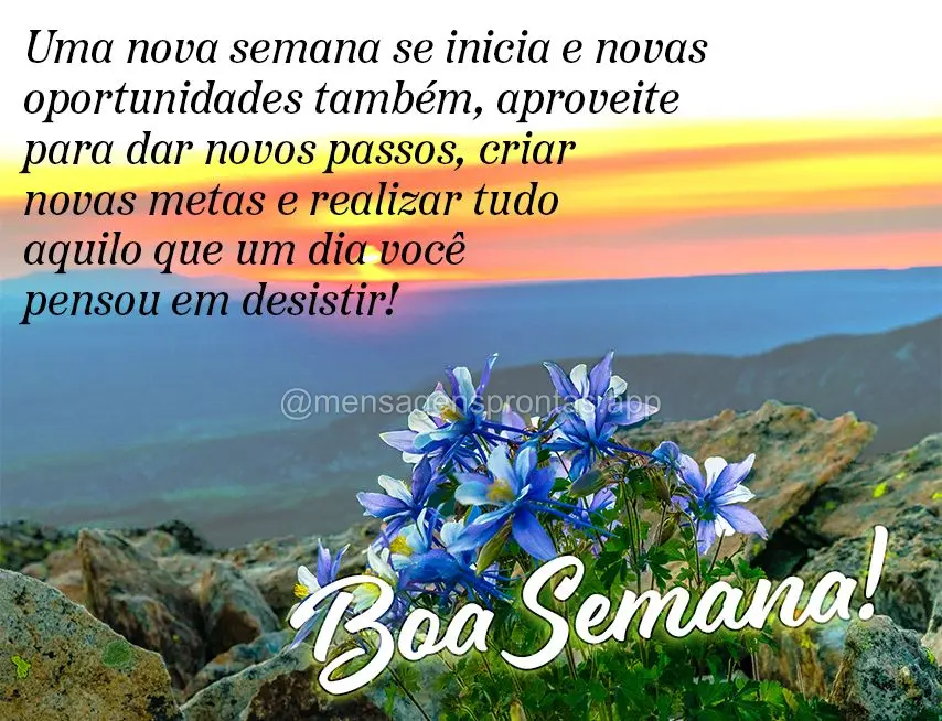 Uma nova semana se inicia e novas oportunidades também, aproveite para dar novos passos, criar novas metas e realizar tudo aquilo que um dia você penso...