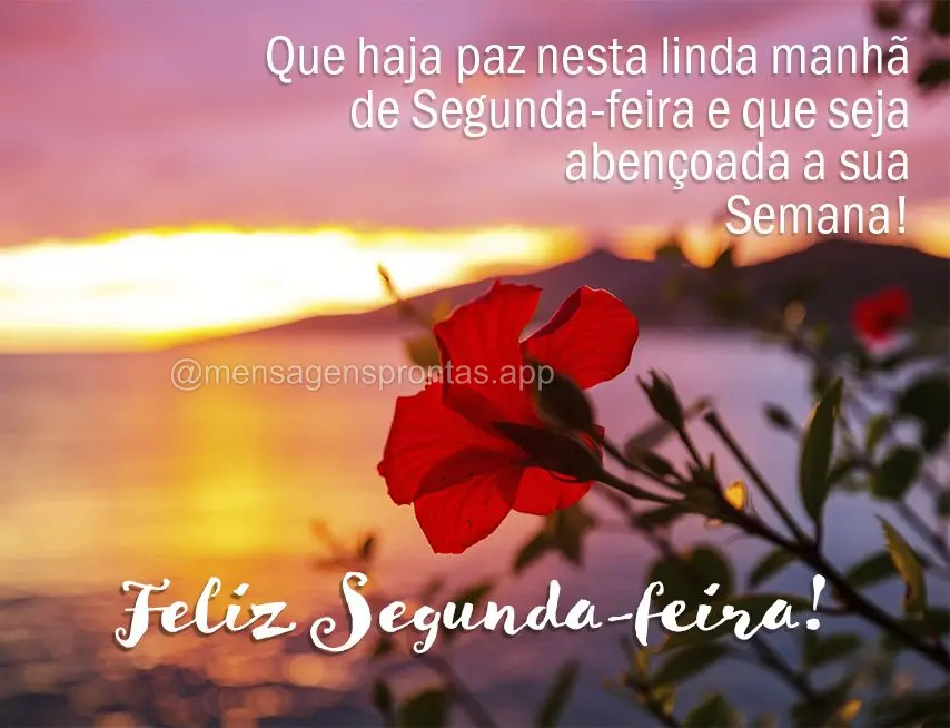 Que haja paz nesta linda manhã de Segunda-feira e que seja abençoada a sua semana! Feliz Segunda-feira! 