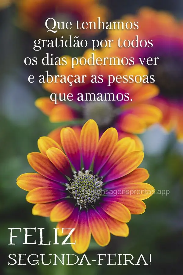 Que tenhamos gratidão por todos os dias podermos ver e abraçar as pessoas que amamos. Feliz Segunda-feira!