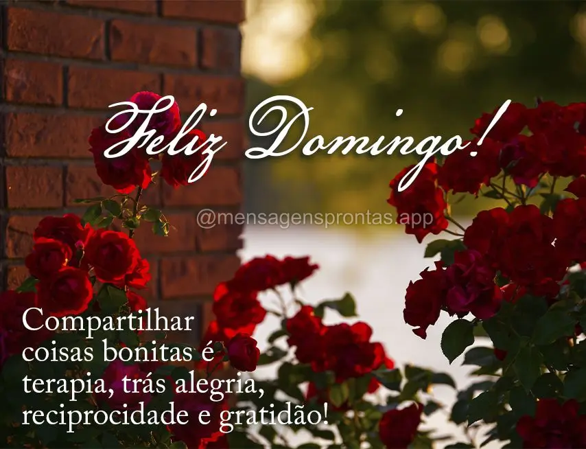 Compartilhar coisas bonitas é terapia, trás alegria, reciprocidade e gratidão! Feliz Domingo! 