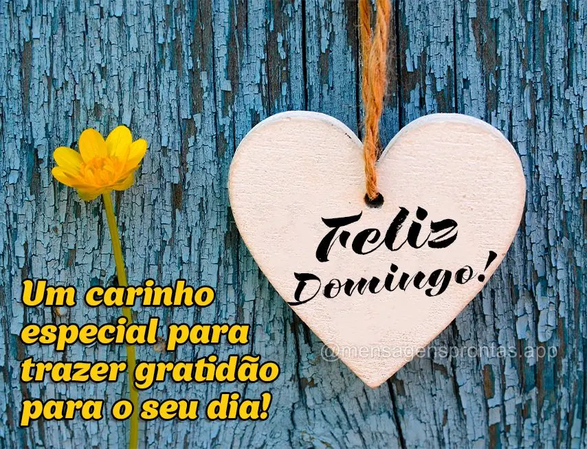 Um carinho especial para trazer gratidão para o seu dia!  Feliz Domingo!