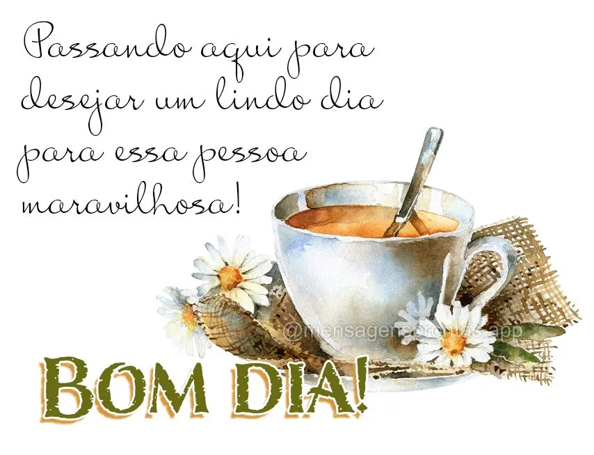 Passando aqui para desejar um lindo dia para essa pessoa maravilhosa! Bom dia!