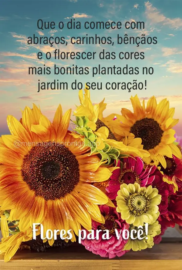 Que o dia comece com abraços, carinhos, bênçãos e o florescer das cores mais bonitas plantadas no jardim do seu coração! Flores para você!