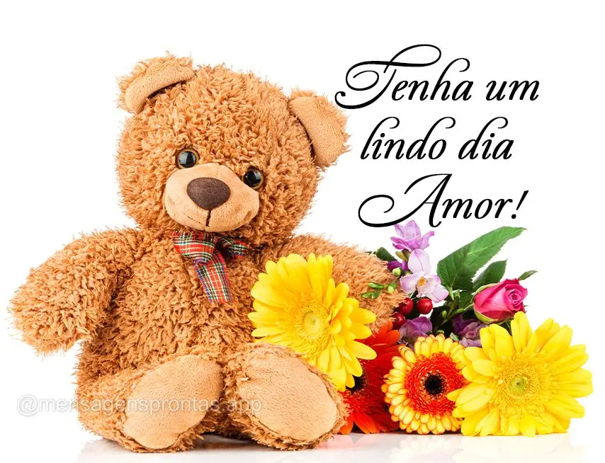 Tenha um lindo dia amor!