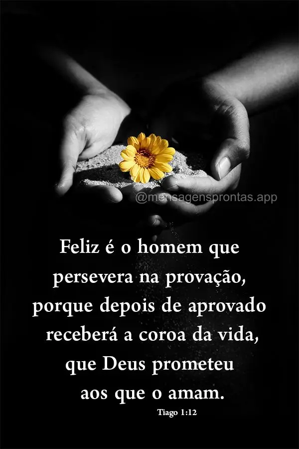 Feliz é o homem que persevera na provação, porque depois de aprovado receberá a coroa da vida, que Deus prometeu aos que o amam. Tiago 1:12