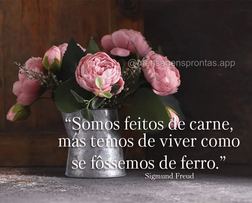 “Somos feitos de carne, mas temos de viver como se fôssemos de ferro.” Sigmund Freud