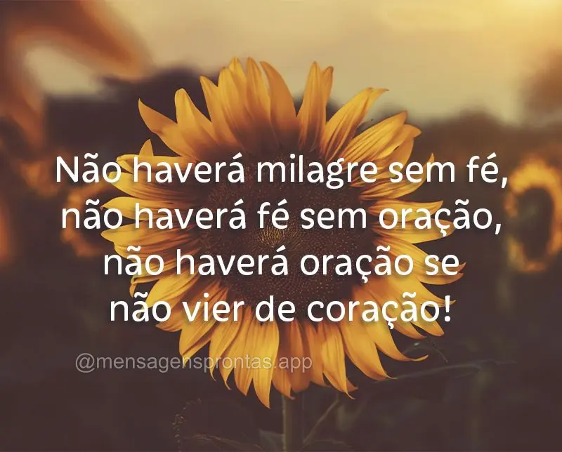 Não haverá milagre sem fé, não haverá fé sem oração, não haverá oração se não vier de coração!