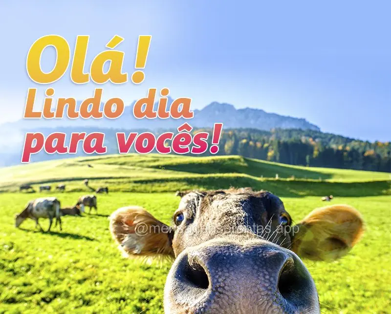 Olá! Lindo dia para vocês!