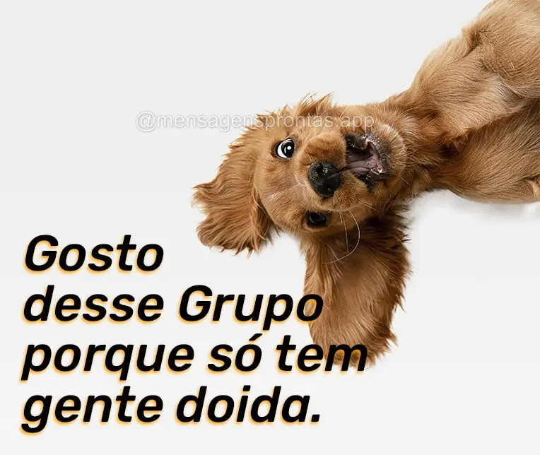 Gosto desse Grupo porque só tem gente doida.