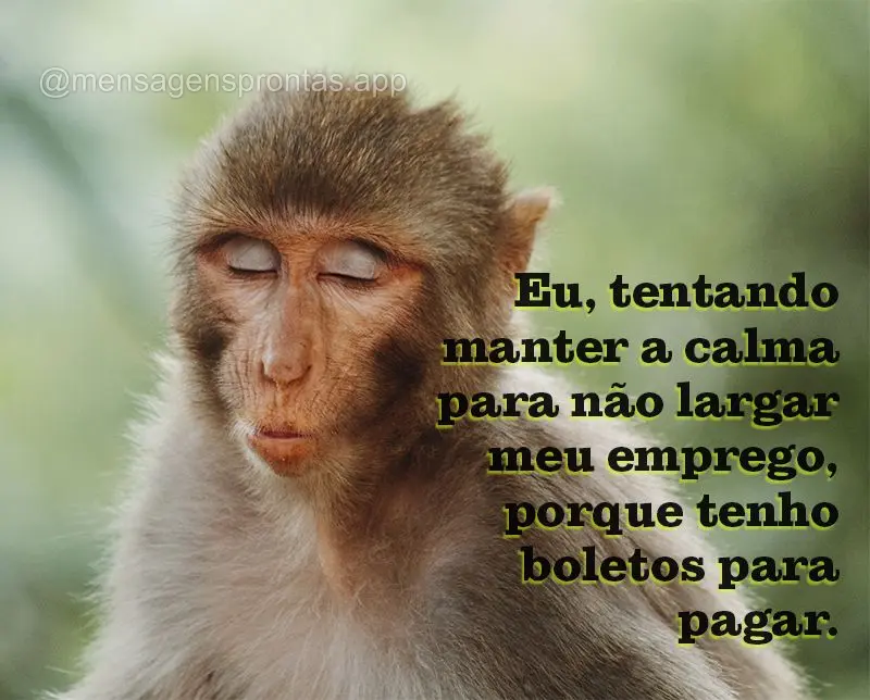 Eu, tentando manter a calma para não largar meu emprego, porque tenho boletos para pagar.