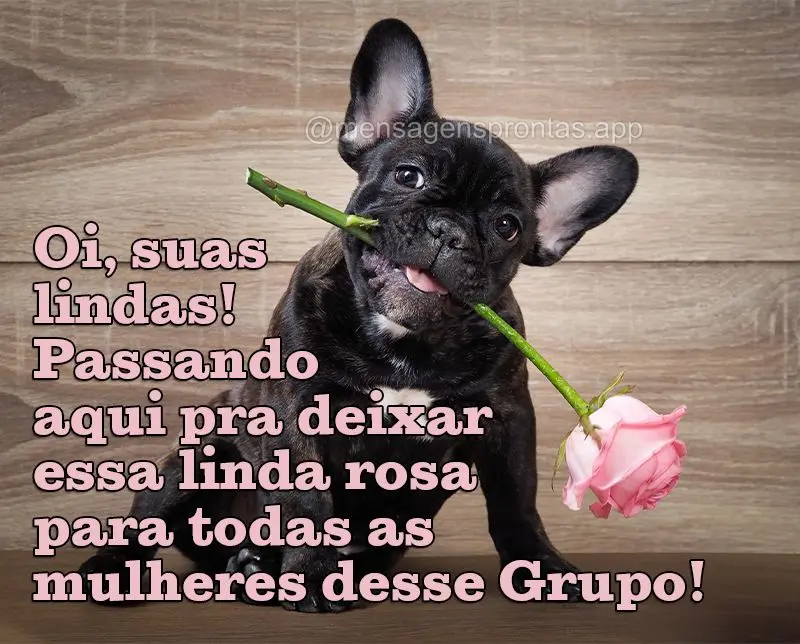 Oi, suas lindas! Passando aqui pra deixar essa linda rosa para todas as mulheres desse Grupo!