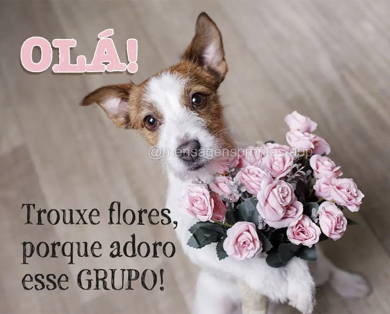 Olá! Trouxe flores porque adoro esse Grupo!