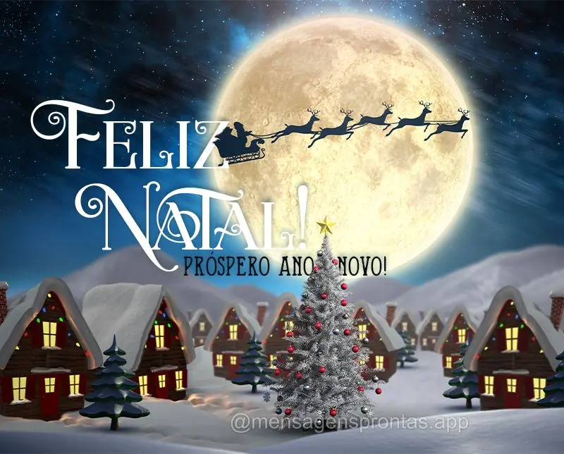 Feliz Natal! Próspero Ano Novo!