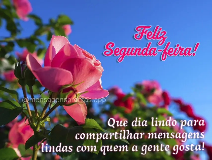 Que dia lindo para compartilhar mensagens lindas com quem a gente gosta! Feliz Segunda-feira!