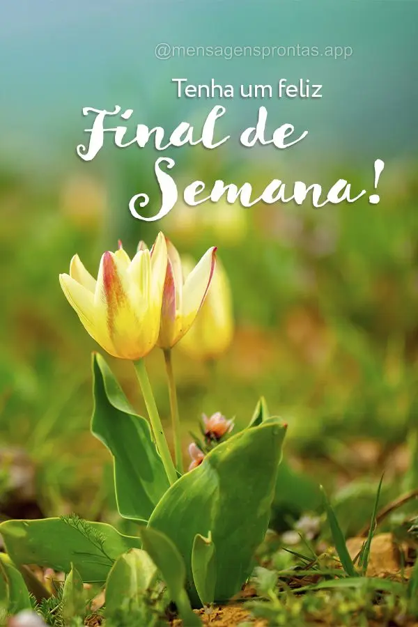 Tenha um Feliz final de semana!