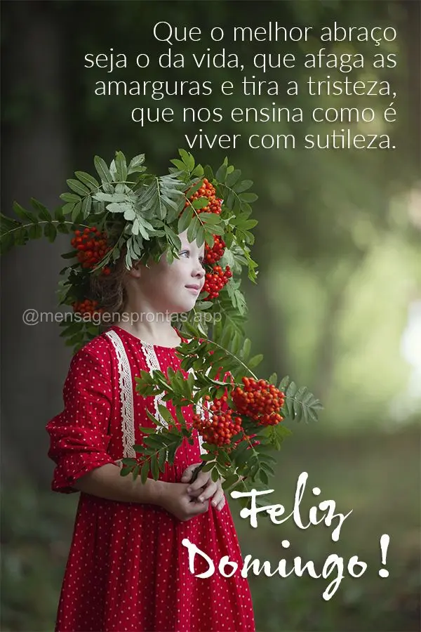 Que o melhor abraço seja o da vida, que afaga as amarguras e tira a tristeza, que nos ensina como é viver com sutileza. Feliz Domingo! 