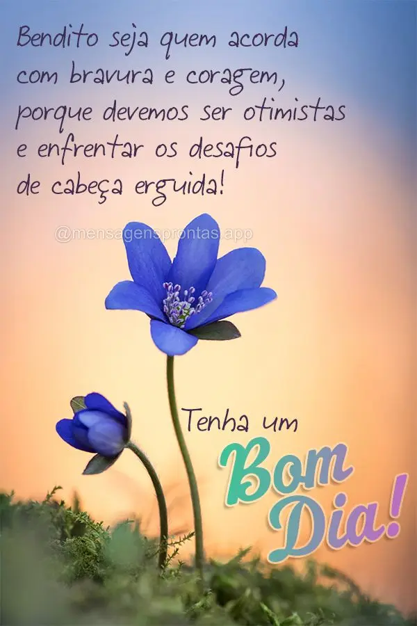 Bendito seja quem acorda com bravura e coragem, porque devemos ser otimistas e enfrentar os desafios de cabeça erguida!  Tenha um Bom dia!