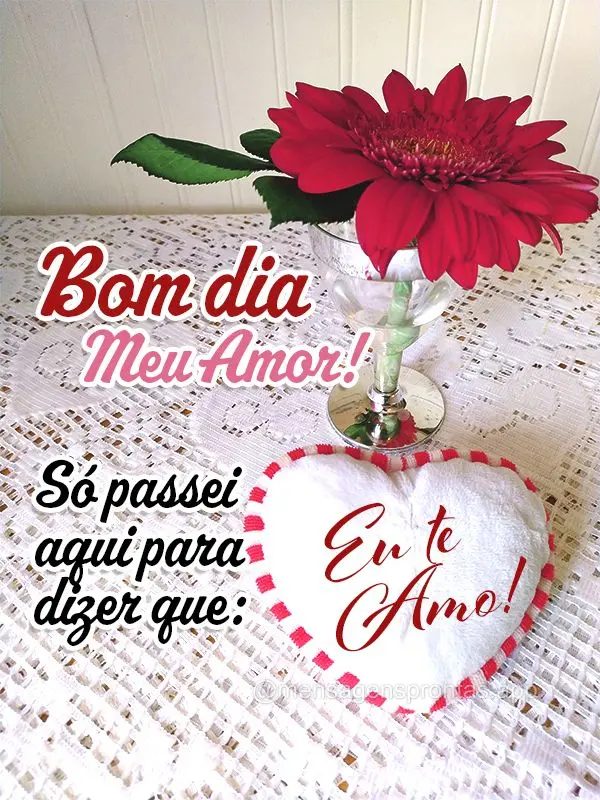 Bom dia meu amor! Só passei aqui para dizer que: Eu te amo!