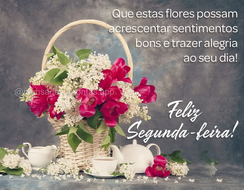 Que estas flores possam acrescentar sentimentos bons e trazer alegria ao seu dia! Feliz Segunda-feira! 