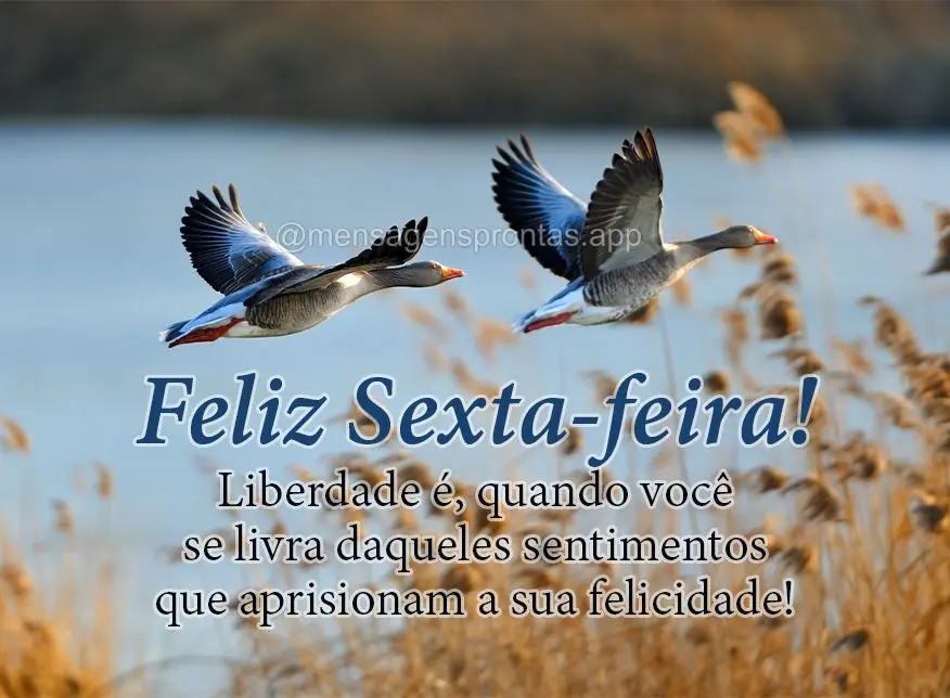 Liberdade é, quando você se livra daqueles sentimentos que aprisionam a sua felicidade! Feliz Sexta-feira!