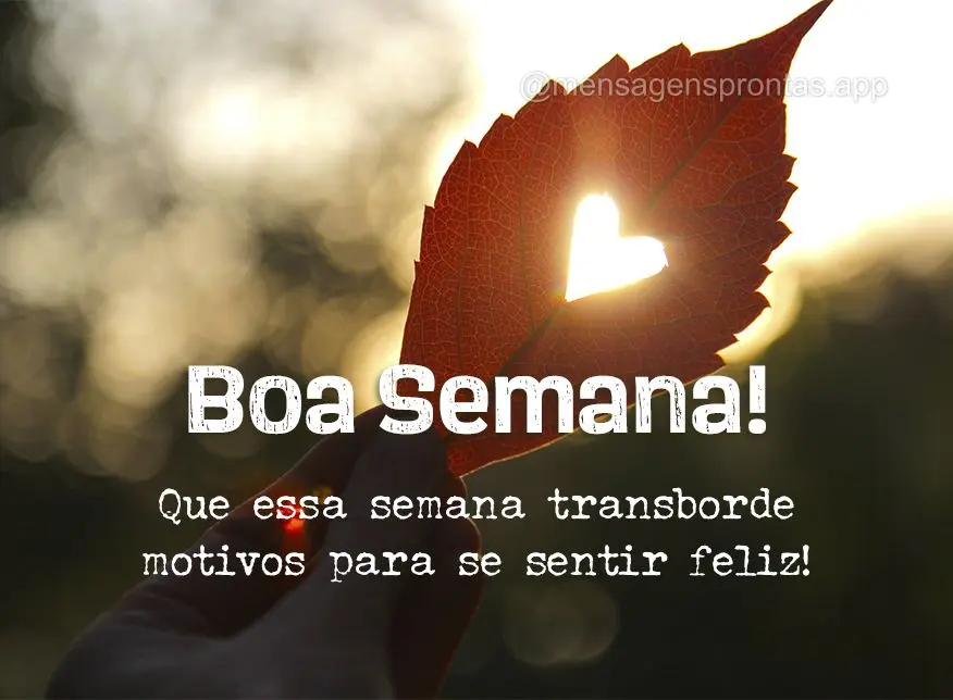 Que essa semana transborde motivos para se sentir feliz! Boa semana! 