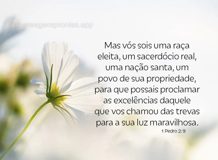 Mas vós sois uma raça eleita, um sacerdócio real, uma nação santa, um povo de sua propriedade, para que possais proclamar as excelências daquele qu...