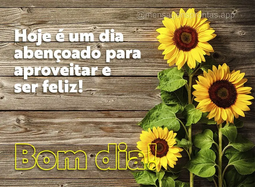 Hoje é um dia abençoado para aproveitar e ser feliz! Bom dia!