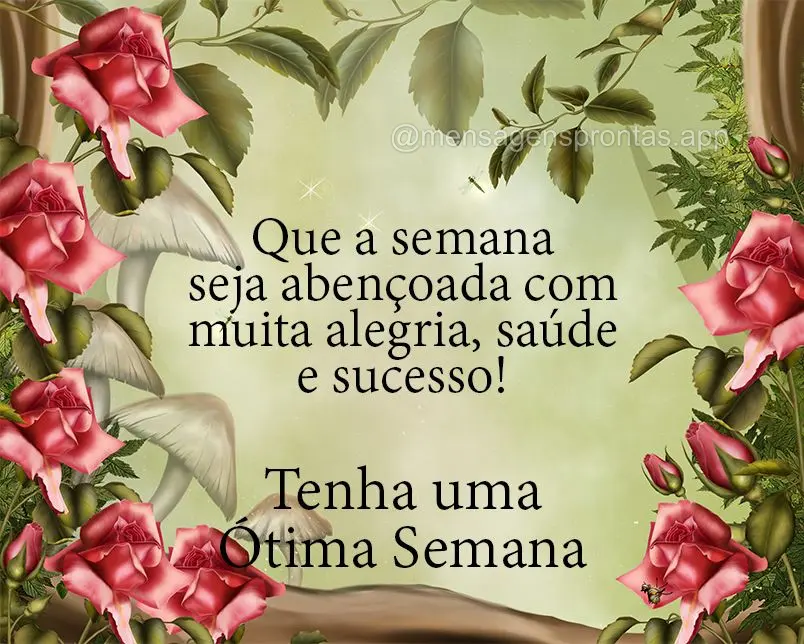 Que a semana seja abençoada com muita alegria, saúde e sucesso!  Tenha uma ótima semana!