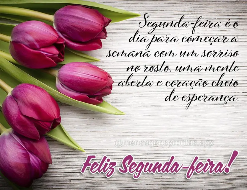 Segunda-feira é o dia para começar a semana com um sorriso no rosto, uma mente aberta e um coração cheio de esperança. Feliz Segunda-feira!