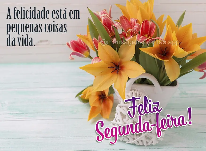 A felicidade está em pequenas coisas da vida. Feliz Segunda-feira!