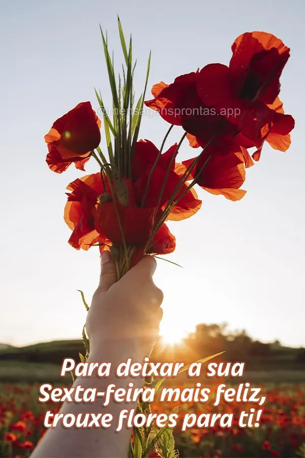 Para deixar a sua Sexta-feira mais feliz, trouxe flores para ti!