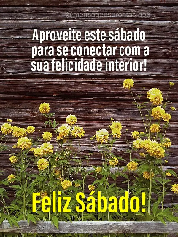 Aproveite este sábado para se conectar com a sua felicidade interior! Feliz Sábado!