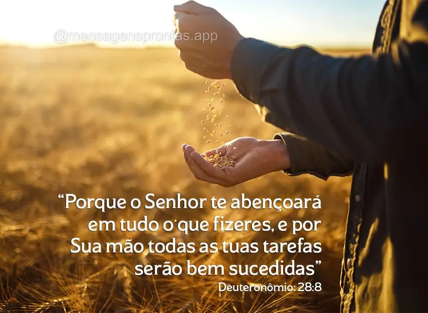 "Porque o Senhor te abençoará em tudo o que fizeres, e por Sua mão todas as tuas tarefas serão bem sucedidas" Deuteronômio: 28:8