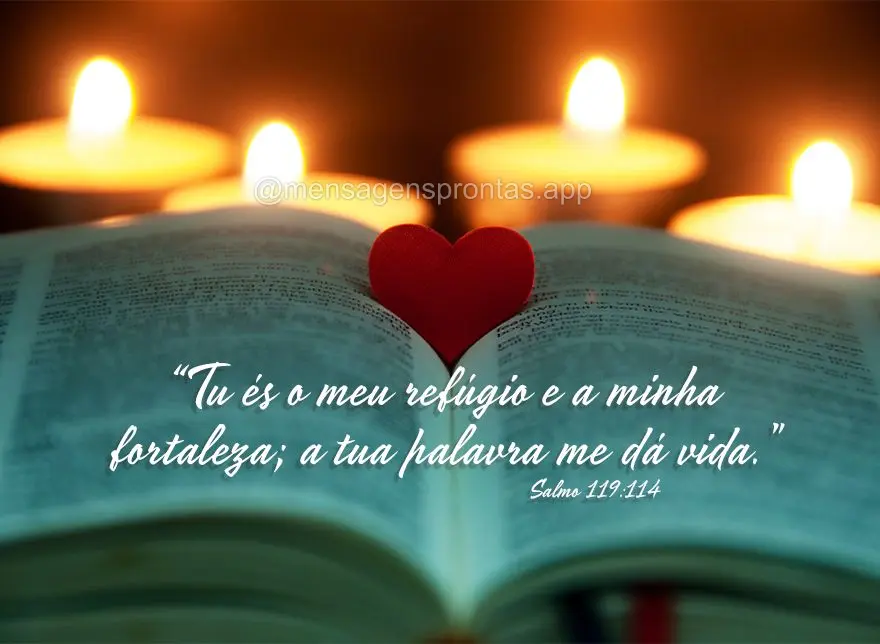 "Tu és o meu refúgio e a minha fortaleza; a tua palavra me dá vida." Salmo 119:114