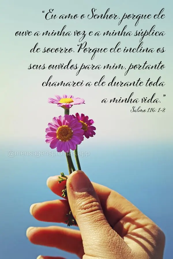 "Eu amo o Senhor, porque ele ouve a minha voz e a minha súplica de socorro. Porque ele inclina os seus ouvidos para mim, portanto chamarei a ele durante...