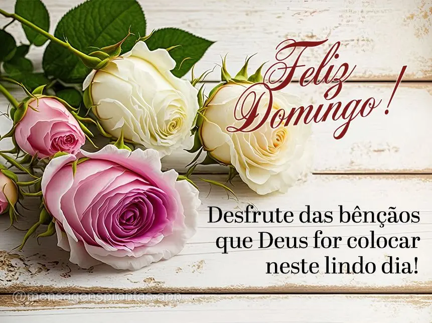 Desfrute das bênçãos que Deus for colocar neste lindo dia! Feliz Domingo!