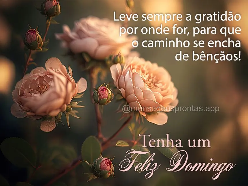 Leve sempre a gratidão por onde for, para que o caminho se encha de bênçãos! Tenha um Feliz Domingo!