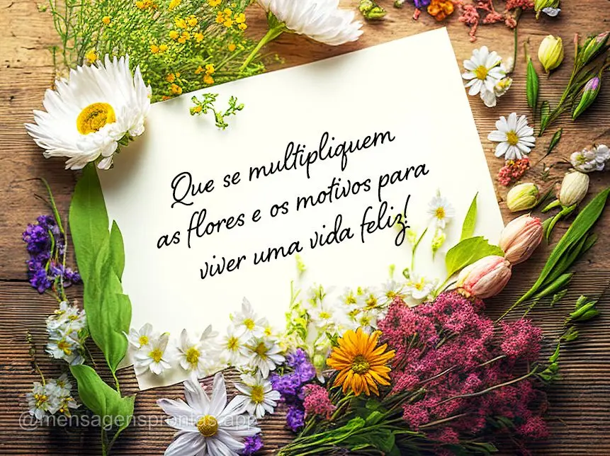 Que se multipliquem as flores e os motivos para viver uma vida feliz!