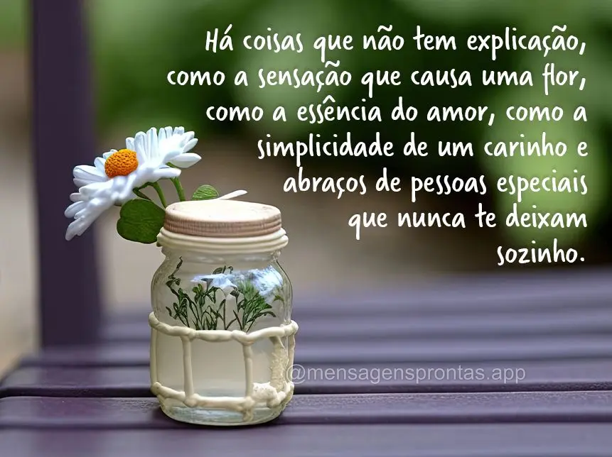 Há coisas que não tem explicação, como a sensação que causa uma flor, como a essência do amor, como a simplicidade de um carinho e abraços de pes...