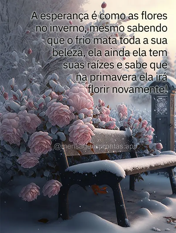 A esperança é como as flores no inverno, mesmo sabendo que o frio mata toda a sua beleza, ela ainda ela tem suas raízes e sabe que na primavera ela ir...