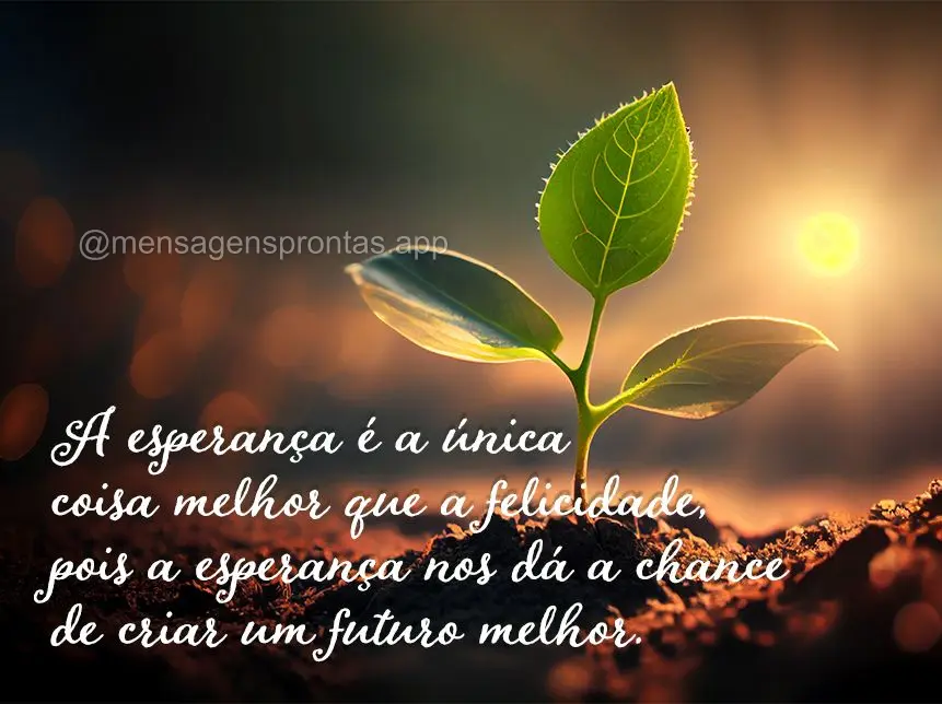 A esperança é a única coisa melhor que a felicidade, pois a esperança nos dá a chance de criar um futuro melhor.