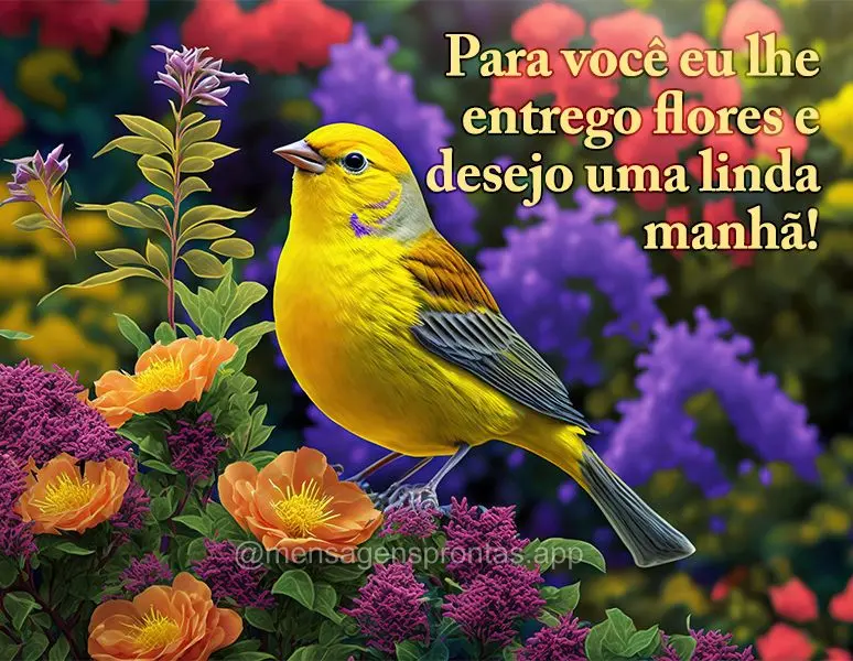 Para você eu lhe entrego flores e desejo uma linda manhã!