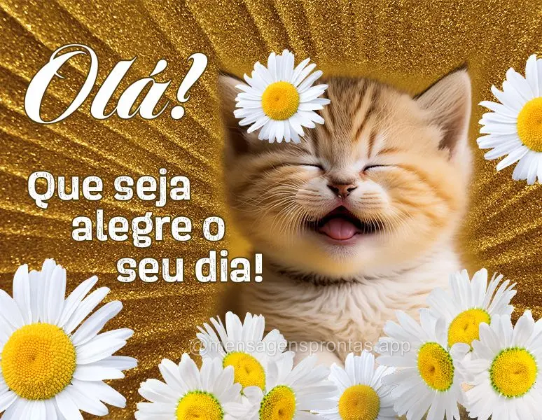 Olá! Que seja alegre o seu dia!