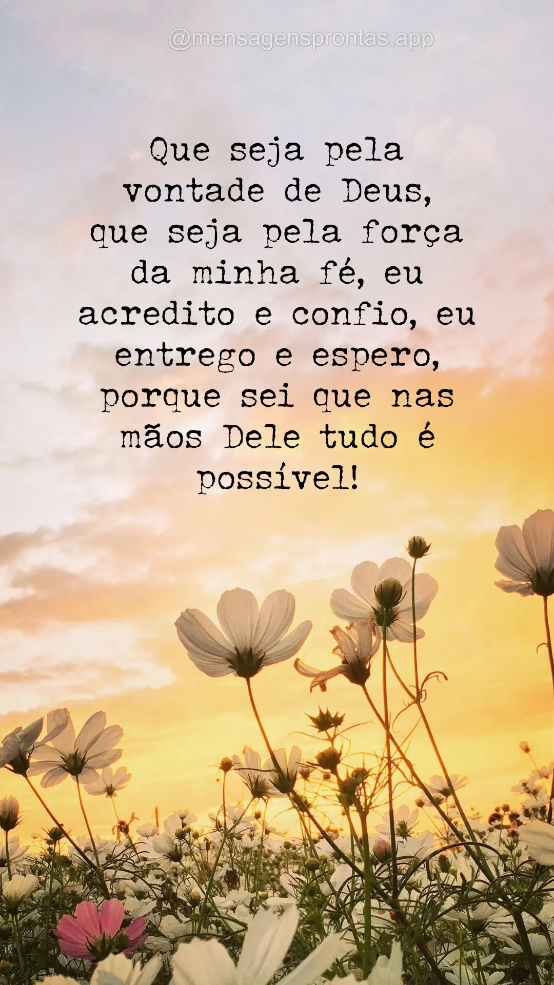 Que seja pela vontade de Deus, que seja pela força da minha fé, eu acredito e confio, eu entrego e espero, porque sei que nas mãos Dele tudo é possí...