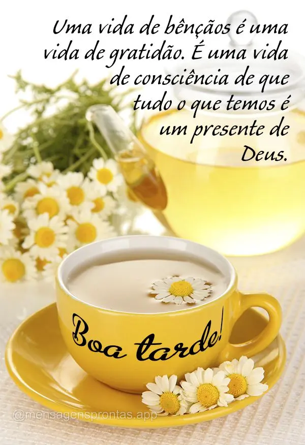 Uma vida de bênçãos é uma vida de gratidão. É uma vida de consciência de que tudo o que temos é um presente de Deus. Boa tarde!